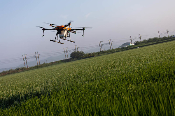 1633565689383698.jpg 5338_10450_4525.jpg