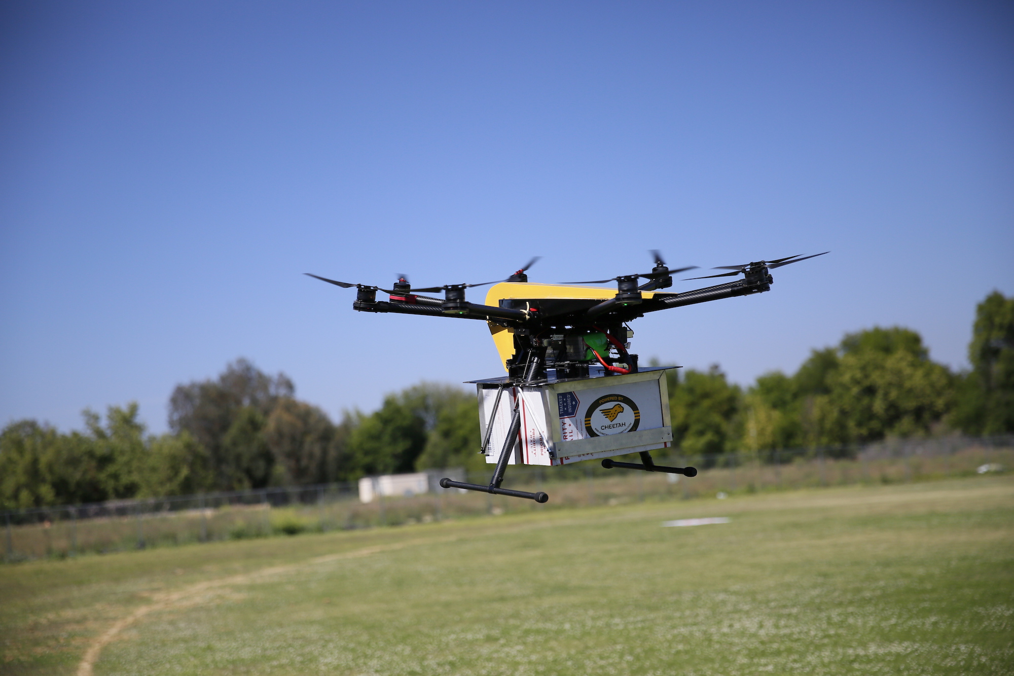 1634040175726054.jpg 31A0043.jpg